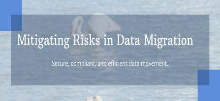 Data Migration Key Risks Mitigating Risks in Data Migration and Data Platform Modernization ...
